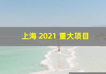 上海 2021 重大项目